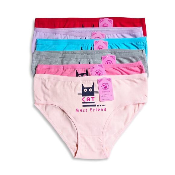 New! Women's Set of 6 Soft Cotton Blend Cat Best Friend Hipster Panties - Picture 1 of 2